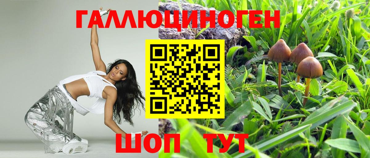 Галлюциногенные грибы Psilocybine cubensis  Вход с VPN  Борзя  Псилоцибиновые грибы GOLDEN TEACHER 