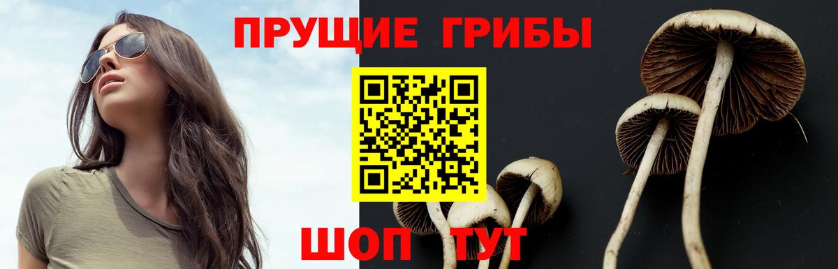 Галлюциногенные грибы Magic Shrooms Борзя